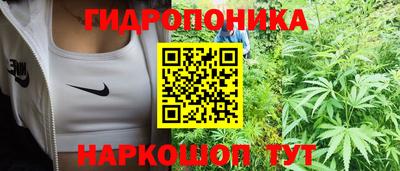 таблы Ачхой-Мартан