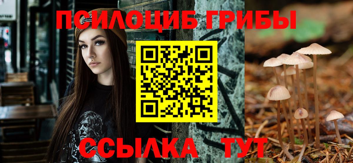 Похвистнево  Галлюциногенные грибы Cubensis  Вход с VPN 