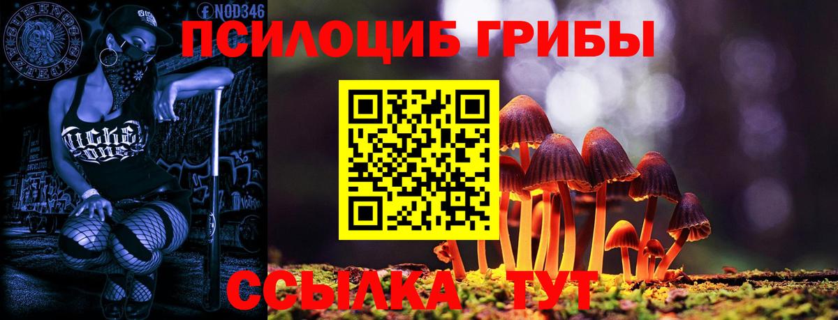 Псилоцибиновые грибы Psilocybe Похвистнево